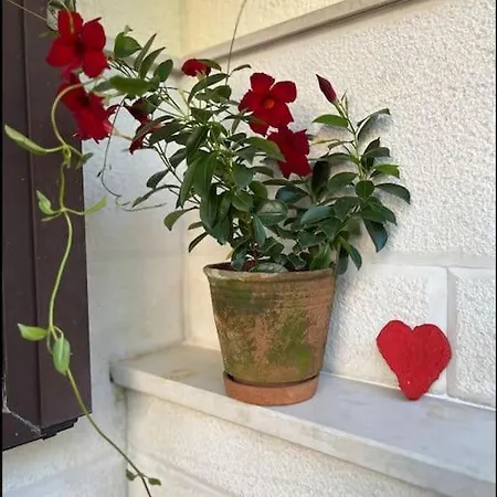 Appartement Eudaimonia